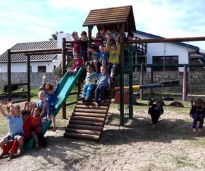 Klimraam vir Gansies